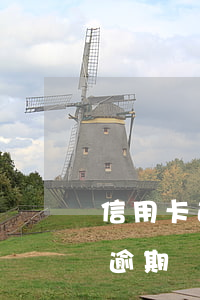 信用卡逾期銀行非要報案怎么處理-信用卡逾期銀行非要報案怎么處理呢
