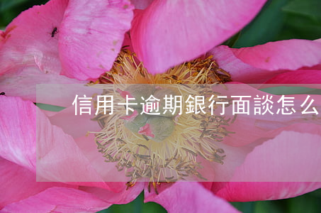 信用卡逾期銀行面談怎么辦