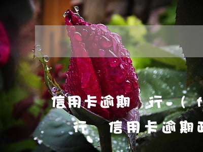 信用卡逾期銀行風(fēng)控(疫情期間銀行對信用卡逾期政策)
