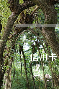 信用卡逾期銀行高管(信用卡逾期銀行高管不管)