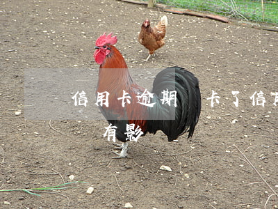 信用卡逾期銷卡了(信用卡逾期銷卡了 五年后還有影響嗎?)