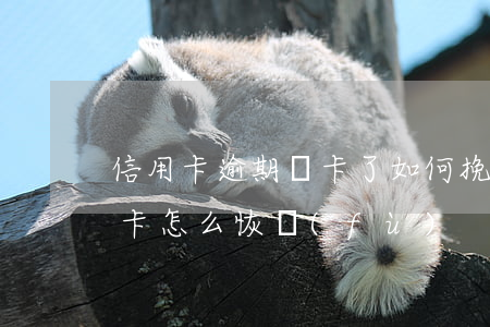 信用卡逾期銷卡了如何挽回(逾期停用的信用卡怎么恢復(fù))