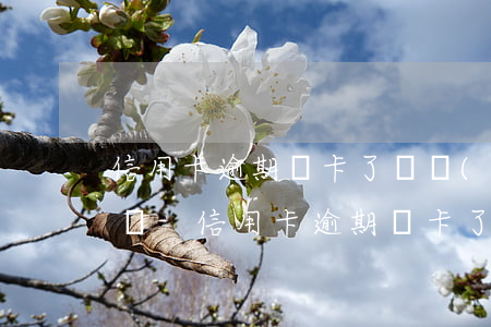 信用卡逾期銷卡了還會(huì)影響征信嗎-信用卡逾期銷卡了還會(huì)影響征信嗎知乎