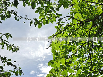 信用卡逾期銷卡了還會自動扣款嗎-信用卡逾期銷卡了還會自動扣款嗎怎么辦
