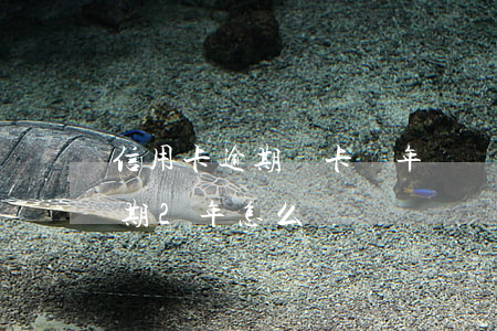 信用卡逾期銷卡兩年記錄-很多張信用卡逾期2年怎么辦