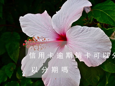信用卡逾期銷卡可以分期嗎(逾期的信用卡可以分期嗎)