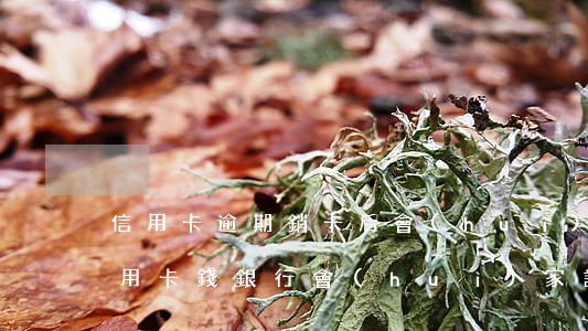 信用卡逾期銷卡后會(huì)家訪嗎(欠信用卡錢,銀行會(huì)家訪嗎)