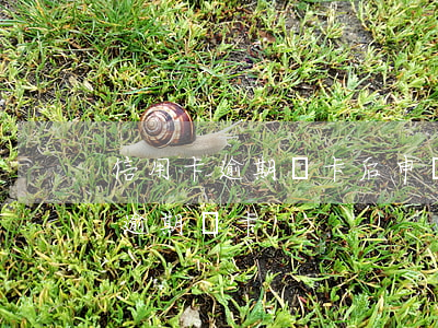 信用卡逾期銷卡后申請(qǐng)(信用卡逾期 銷卡)