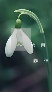 信用卡逾期銷卡后能再申請嗎(逾期銷戶還能辦信用卡嗎)