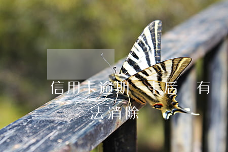 信用卡逾期銷卡后還有記錄嗎 銷卡后逾期記錄無法消除嗎