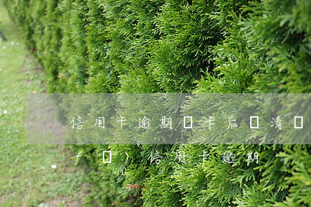 信用卡逾期銷卡后還清廣發(fā) 廣發(fā) 信用卡 逾期