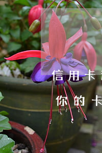 信用卡逾期銷卡如何辦(信用卡逾期銀行注銷你的卡,要怎么還款?)