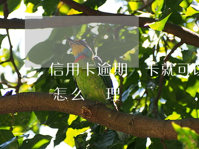 信用卡逾期銷卡就可以嗎(信用卡逾期銷卡了怎么處理?)