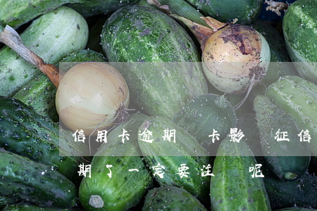 信用卡逾期銷卡影響征信嗎(為什么信用卡逾期了一定要注銷呢)