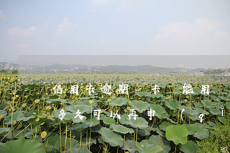 信用卡逾期銷卡還能用嗎(信用卡逾期銷卡后多久可以再申請(qǐng))
