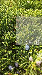 信用卡逾期銷卡還能申請(qǐng)嗎(有過逾期的信用卡該不該銷卡)