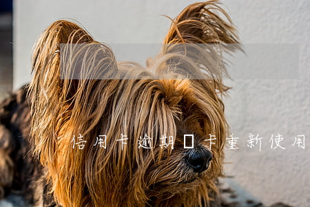 信用卡逾期銷卡重新使用