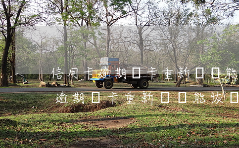 信用卡逾期銷卡重新補辦能恢復嗎-信用卡逾期銷卡重新補辦能恢復嗎多少錢