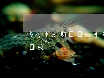 信用卡逾期銷戶5年后算白戶嗎(中專士兵考軍校)
