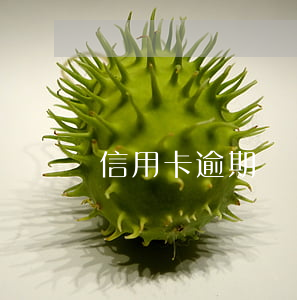 信用卡逾期銷戶5年后能辦理嗎-