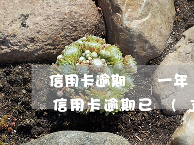 信用卡逾期銷戶一年還能班嗎-2017年信用卡逾期已經(jīng)還清了兩年后