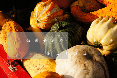 信用卡逾期銷戶兩年(三年前信用卡逾期兩個月還清后直接注銷了)