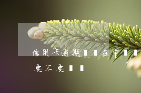 信用卡逾期銷戶在申請嗎(信用卡逾期后還清要不要銷戶)