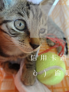 信用卡逾期銷戶多久能辦信用卡(有過(guò)逾期的信用卡該不該銷卡)
