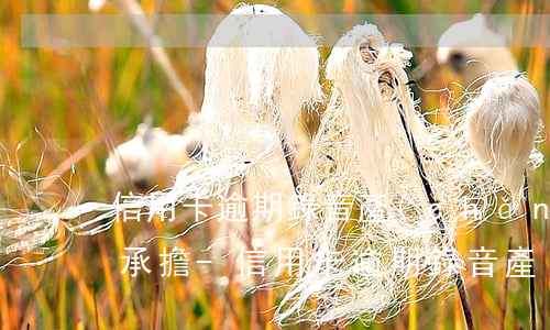 信用卡逾期錄音產(chǎn)生后果自己承擔-信用卡逾期錄音產(chǎn)生后果自己承擔責任嗎