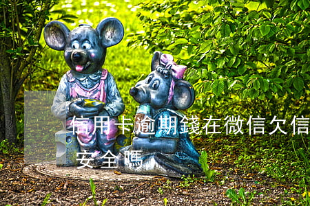 信用卡逾期錢在微信 欠信用卡逾期微信的錢安全嗎