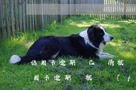 信用卡逾期錢已還清被凍結(jié)(欠信用卡逾期會被凍結(jié)所有資產(chǎn)嗎)