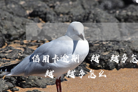 信用卡逾期錢越來越多怎么還款（信用卡逾期錢越來越多怎么還）