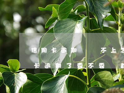 信用卡逾期錢還不上怎么辦(本人不在了信用卡逾期了要不要還款)
