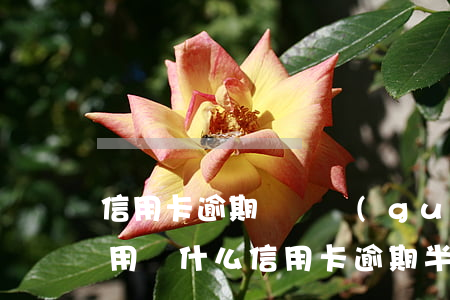 信用卡逾期錢還過(guò)了怎么可以再用 為什么信用卡逾期半年錢還了怎么還能用