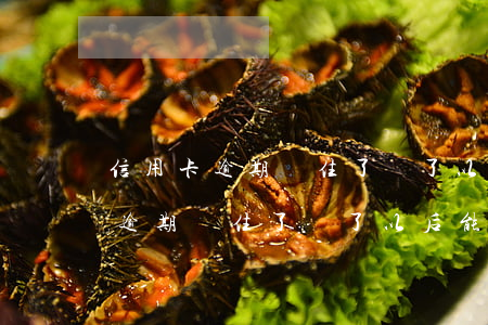 信用卡逾期鎖住了還了以后能用嗎-信用卡逾期鎖住了還了以后能用嗎有影響嗎