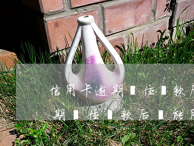 信用卡逾期鎖住還款后還能用嗎-信用卡逾期鎖住還款后還能用嗎