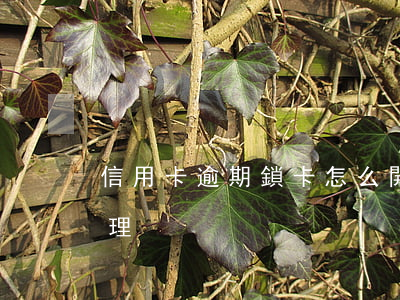 信用卡逾期鎖卡怎么開卡(逾期鎖卡后怎么處理)