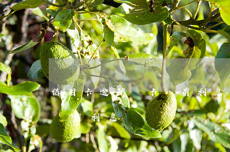 信用卡逾期鎖卡會有利息嗎(信用卡逾期鎖卡會有利息嗎)