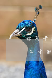 信用卡逾期钱可以慢慢还吗(还逾期信用卡怎么才能不还利息)