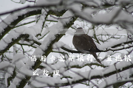 信用卡逾期银行一直拖 银行对信用卡逾期怎么处理
