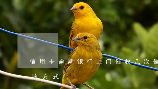 信用卡逾期银行上门催收几次 信用卡逾期催收方式