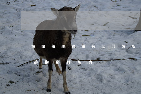 信用卡逾期银行上门怎么处理(银行卡信用卡逾期有什么办)