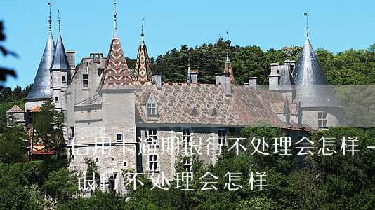 信用卡逾期银行不处理会怎样-信用卡逾期银行不处理会怎样