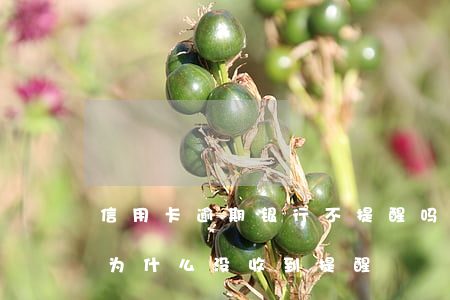 信用卡逾期银行不提醒吗(我的信用卡逾期了为什么没收到提醒)