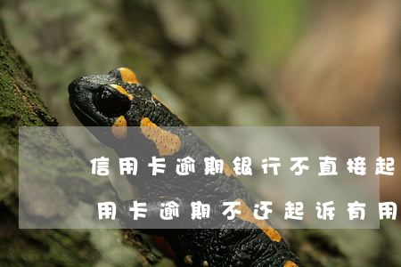 信用卡逾期银行不直接起诉怎么办(朋友用信用卡逾期不还起诉有用吗)