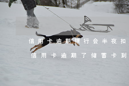 信用卡逾期银行会半夜扣钱嘛-同一个银行信用卡逾期了储蓄卡到账会不会被秒扣