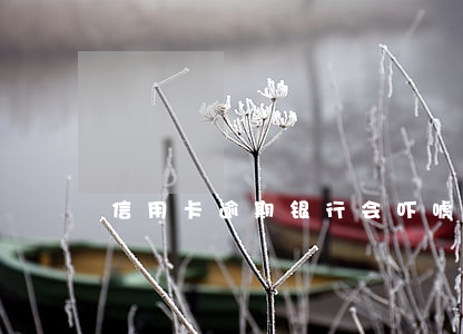 信用卡逾期银行会吓唬你吗