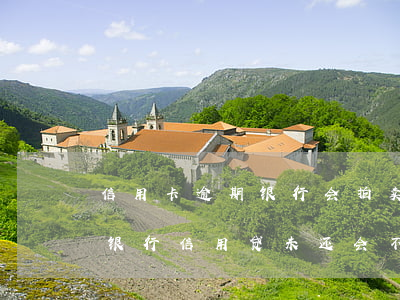 信用卡逾期银行会拍卖按揭房吗(房贷不逾期银行信用贷未还会不会拍卖房子)