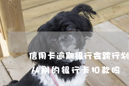 信用卡逾期银行会跨行划扣吗-贷款逾期会从别的银行卡扣款吗