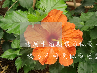 信用卡逾期银行协商不同意怎么办 欠信用卡银行不同意协商还款